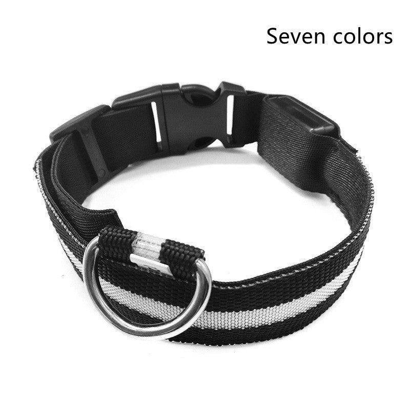 Nylon LED Luminous Dog/Cat Night safety Collar