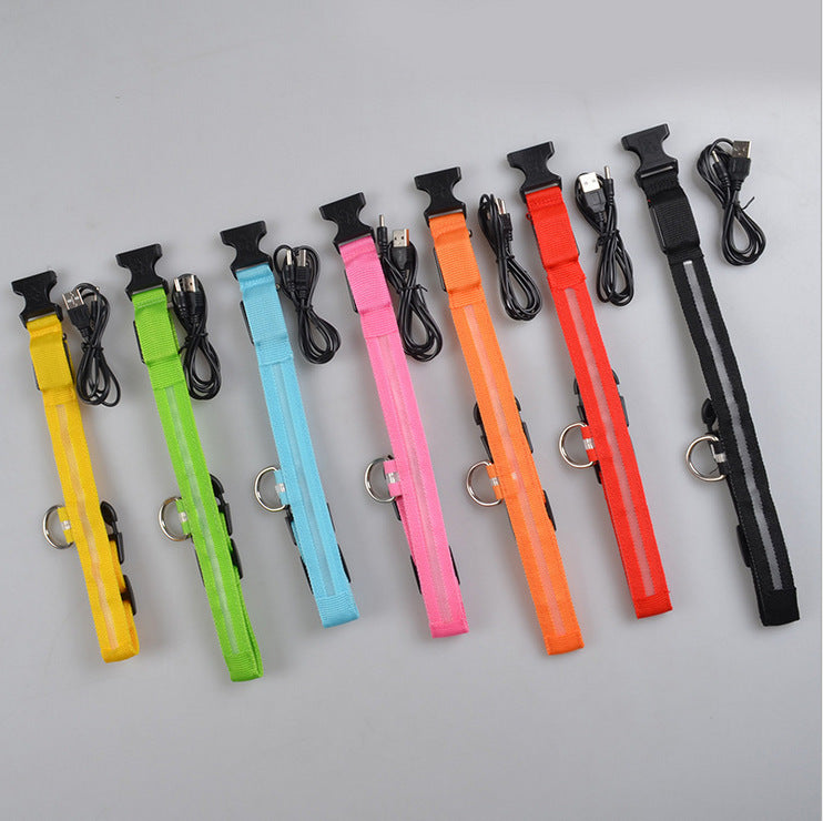 Nylon LED Luminous Dog/Cat Night safety Collar