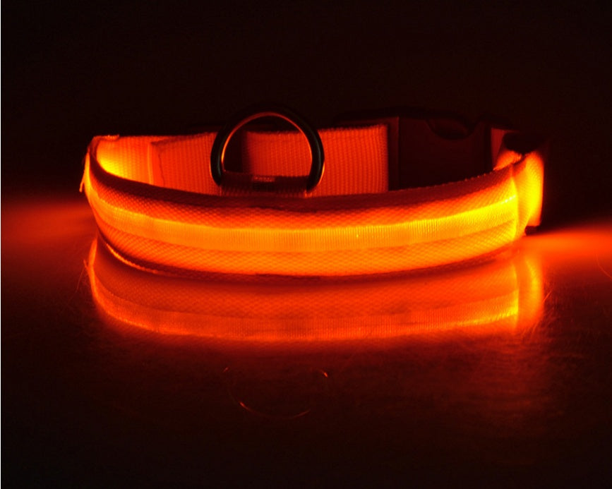 Nylon LED Luminous Dog/Cat Night safety Collar