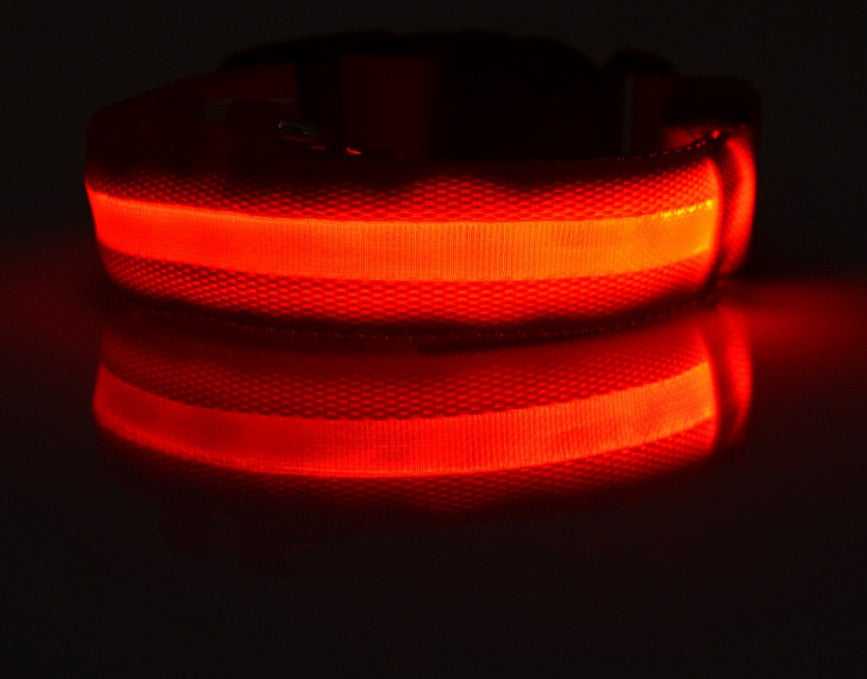 Nylon LED Luminous Dog/Cat Night safety Collar