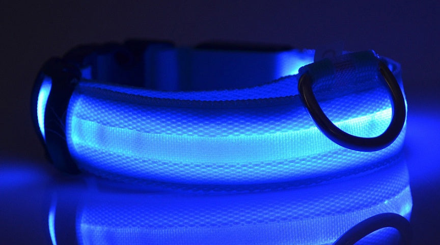 Nylon LED Luminous Dog/Cat Night safety Collar